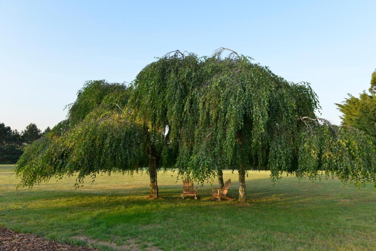 Bernardvillé Maison D'Hotes Les Jardins De Madeleine מראה חיצוני תמונה